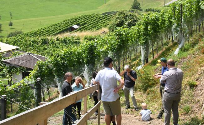 Biodiversität als Grundlage im Rebberg