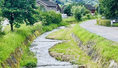 Unterhaltsarbeiten beim Steinlibach: 35 Tonnen Stein für Ufersicherung