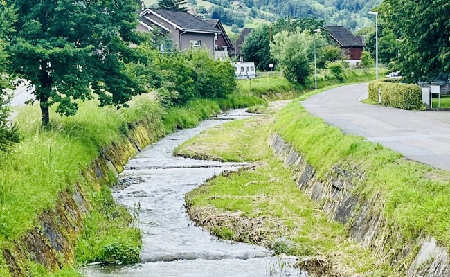 Unterhaltsarbeiten beim Steinlibach: 35 Tonnen Stein für Ufersicherung