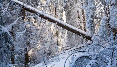 Achtung: Schwerer Schnee