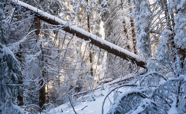 Achtung: Schwerer Schnee