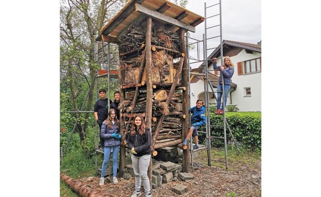 Abheben für Biodiversität