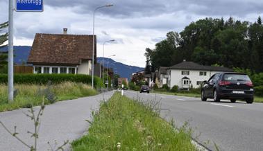 Die Vielfalt wird weggemäht