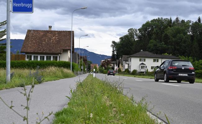 Die Vielfalt wird weggemäht
