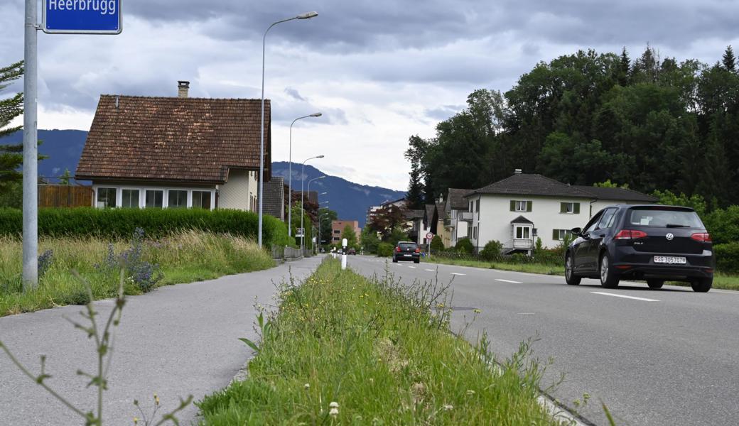 Trostlos: Grünstreifen zwischen Berneck und Heerbrugg. Weiter vorne in Heerbrugg sieht er allerdings bedeutend bunter aus.