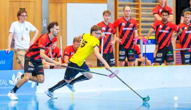 Rheintal Gators im Cup souverän eine Runde weiter