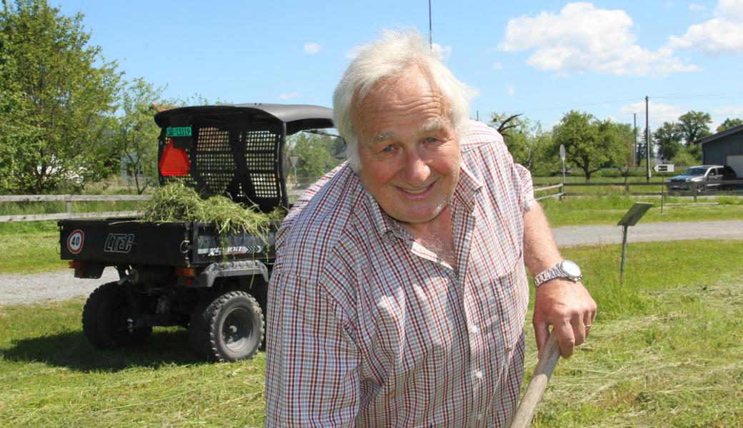 Werner Schläpfer war zwar allein an der Arbeit, hatte aber Stiefelgeissen dabei, die in der Nähe ein lauschiges Plätzchen geniessen konnten. 