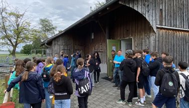 Sechstklässer entdecken Feld und Wald