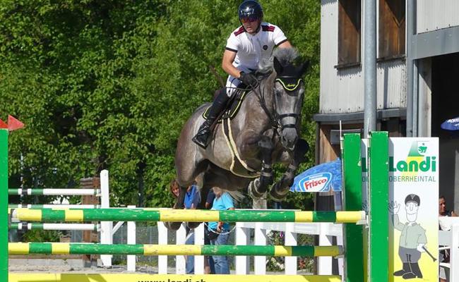 Springreiten auf der Rheininsel