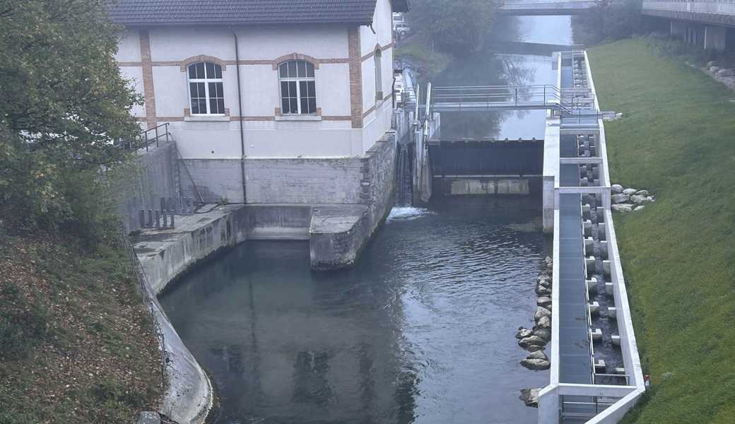 Das Fischleitsystem beim Kraftwerk Blatten.