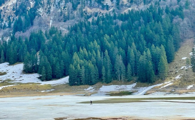 «Als hätte jemand den Stöpsel gezogen»: Der Sämtisersee im Alpstein ist ausgetrocknet