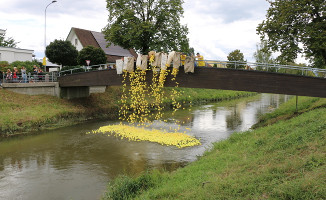 Binnenfest Widnau: Über 4200 Plastikenten schwimmen um den ersten Platz