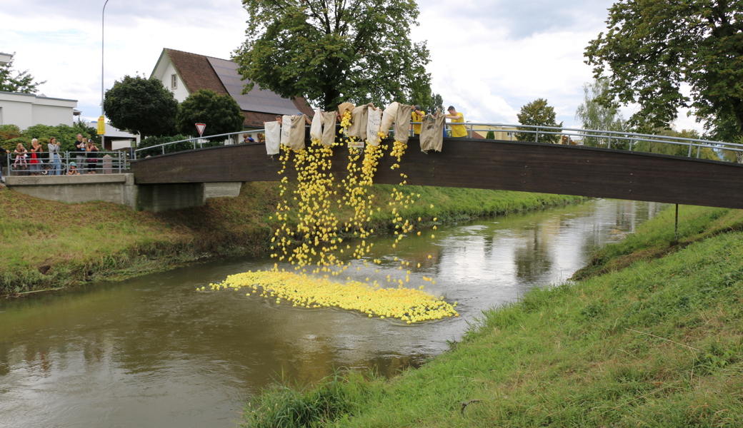 Binnenfest Widnau: Über 4200 Plastikenten schwimmen um den ersten Platz