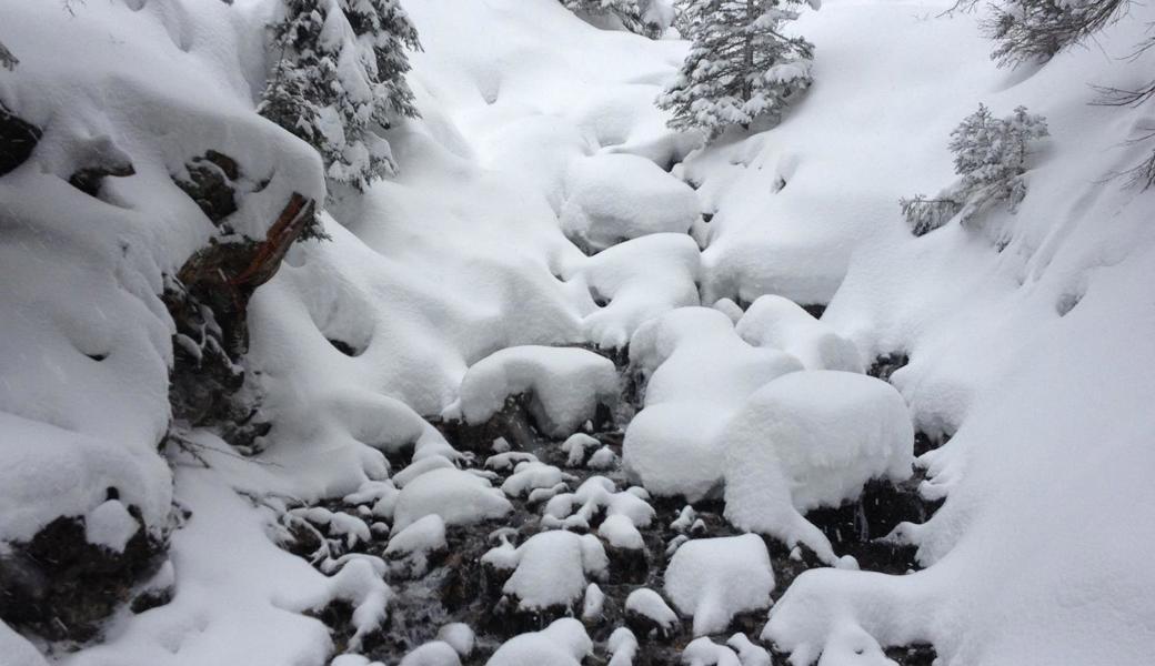 Unter dem Schnee plätschert der Bach.