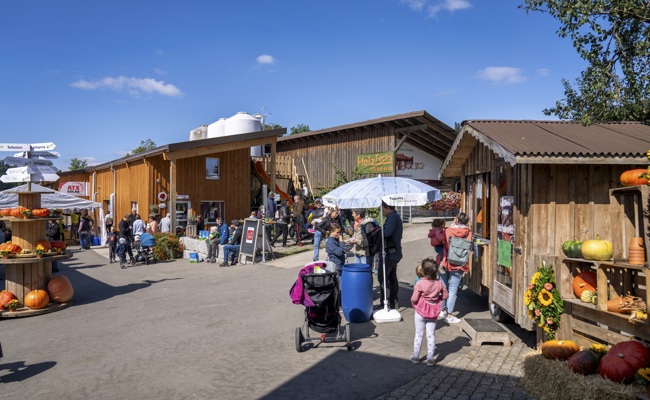 Von Hof zu Hof im Rheintal: Landwirtschaft direkt erleben