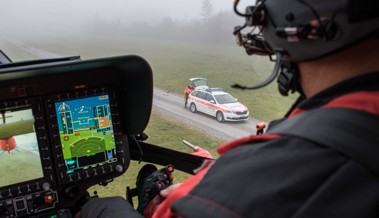24-Jähriger verletzt sich bei Forstarbeiten und wird von der Rega ins Spital geflogen