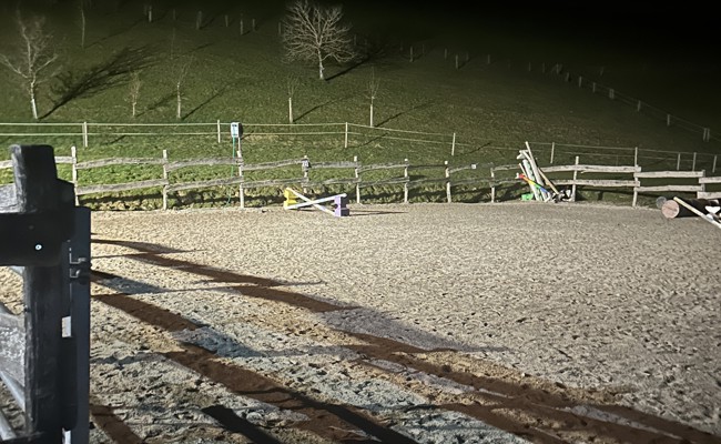 Eine 19-Jährige fällt beim Reittraining vom Pferd und verletzt sich schwer