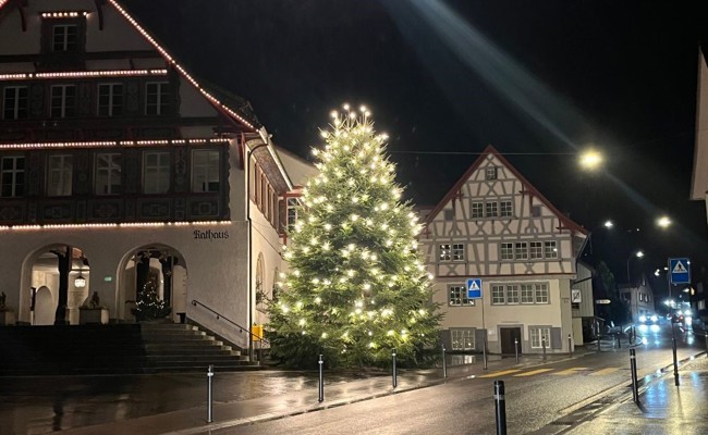 Zwei Tage lang gibt es einen Weihnachtszauber auf der Hirschenwiese