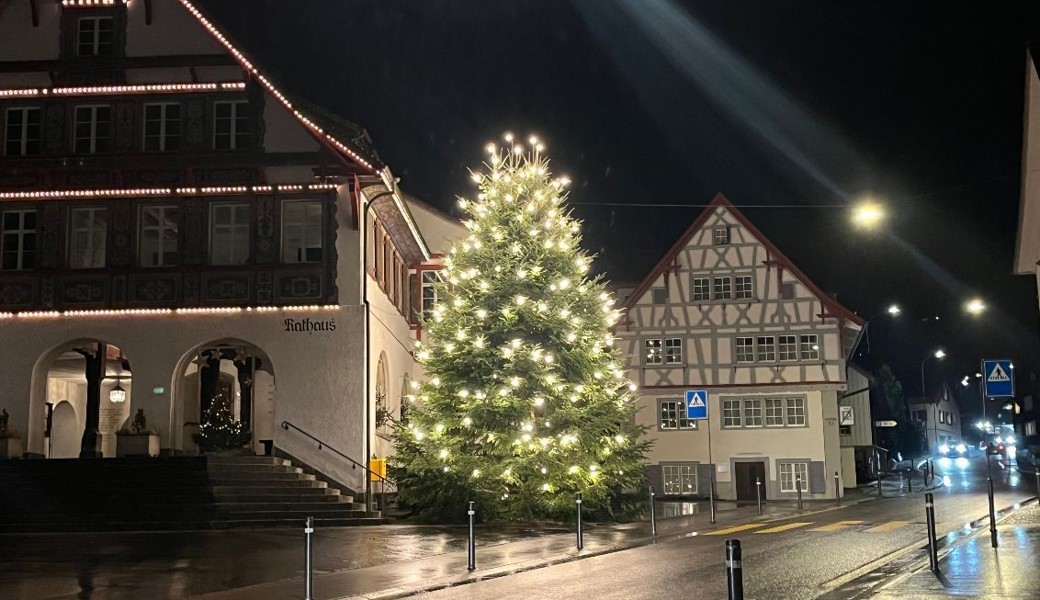Zwei Tage lang gibt es einen Weihnachtszauber auf der Hirschenwiese