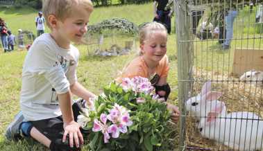 Kinder und Erwachsene bestaunen Tierli im Grünen