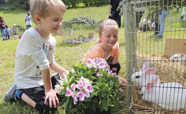 Kinder und Erwachsene bestaunen Tierli im Grünen