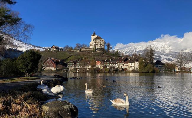 Neues Onlineportal für die Region Werdenberg ist online