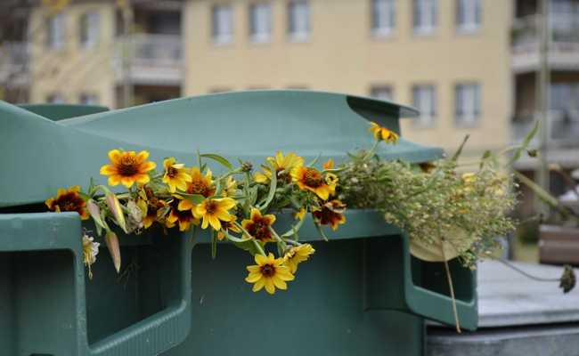 Grünabfuhr: Gebührenmarken am besten entsorgen