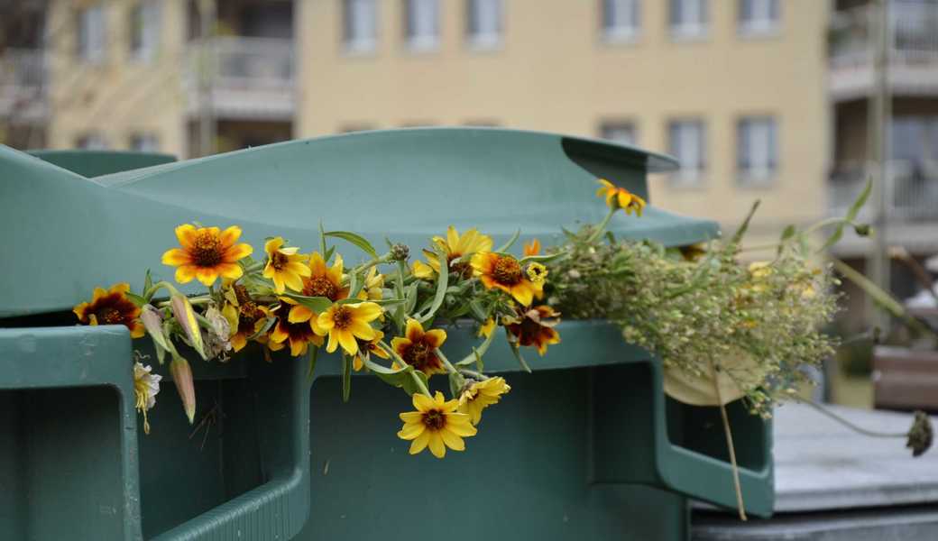 Grüngut in Suhr Container Blumen