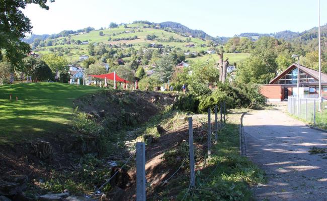 Kahlschlag - «Traurig, aber wahr»