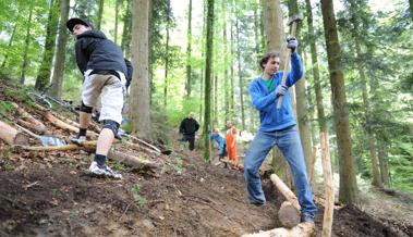 Doch kein Bikepark im Bärenhölzli