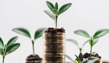 Das Ergebnis der St. Galler Staatsrechnung ist wieder im Plus