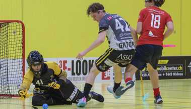 Gators tanken mit Heimsieg gegen Top-4-Team Selbstvertrauen für Playouts gegen Glattal