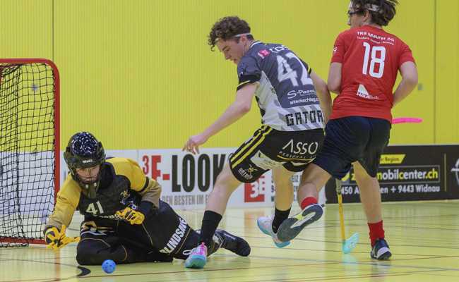 Gators tanken mit Heimsieg gegen Top-4-Team Selbstvertrauen für Playouts gegen Glattal