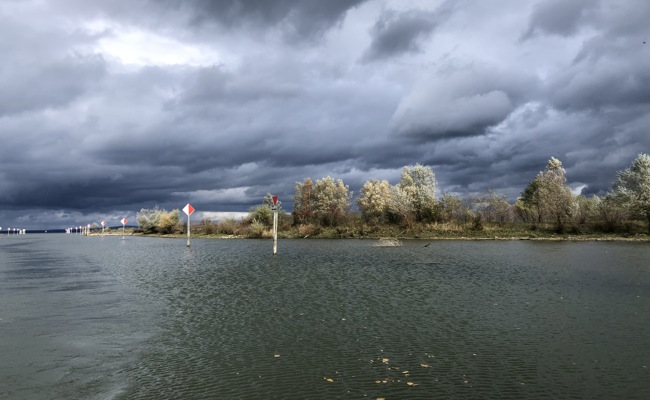 Leserbild: Stimmung an der Rheinmündung
