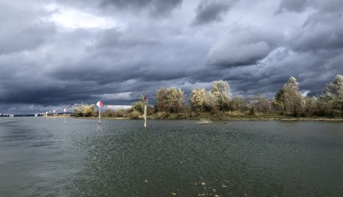 Leserbild: Stimmung an der Rheinmündung