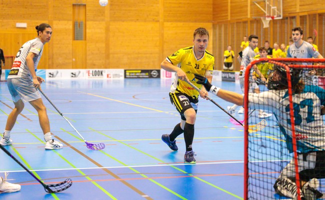Gators überzeugen bei 8:3-Heimsieg gegen Winterthur United