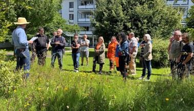 Kirche als blühendes Beispiel für mehr Biodiversität