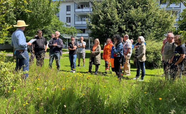 Kirche als blühendes Beispiel für mehr Biodiversität