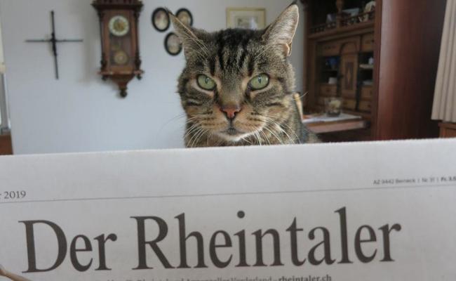 Der Zeitungsleser des Tages