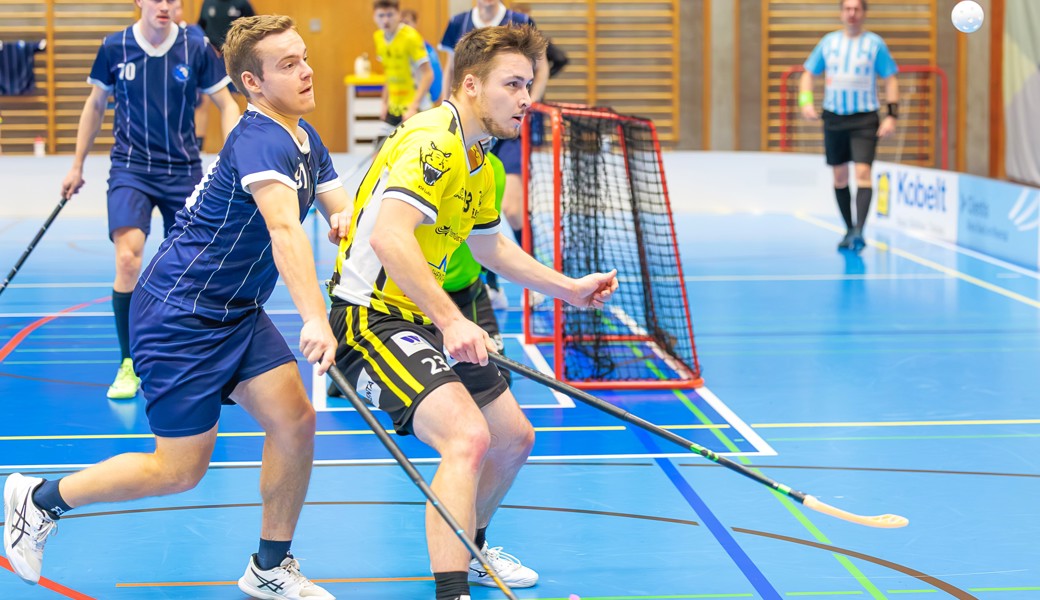 Rheintal Gators verlieren zweimal knapp und fallen etwas zurück