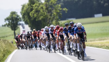 Die Radprofis fahren am nächsten Samstag durchs Rheintal