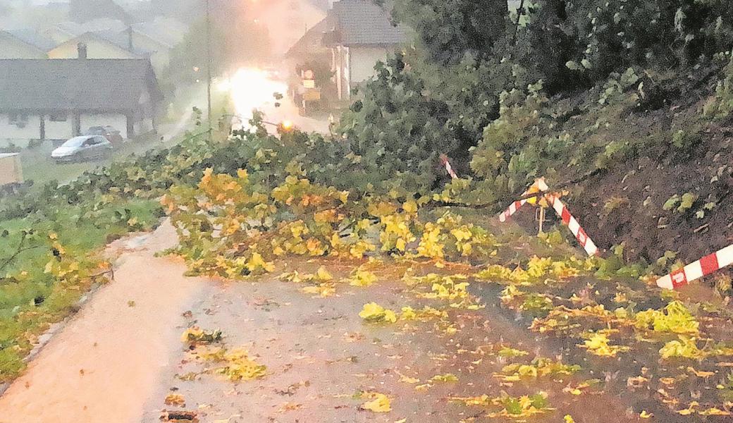 Glücklicherweise gab es keine verletzte Personen beim Unwetter.