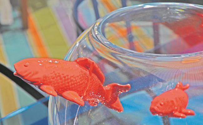 Flucht aus dem Goldfischglas