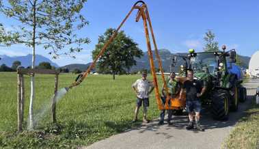 Verein hat mit Landschaftsgestaltern 25 Bäume am Südring gepflanzt