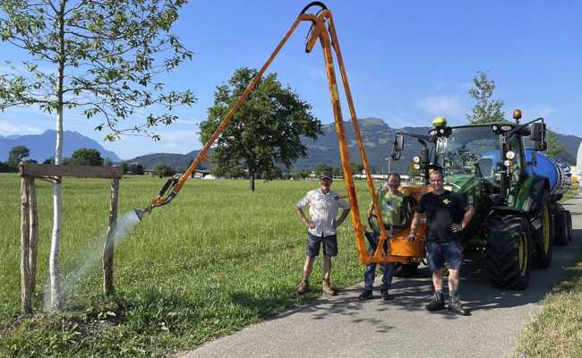 Verein hat mit Landschaftsgestaltern 25 Bäume am Südring gepflanzt