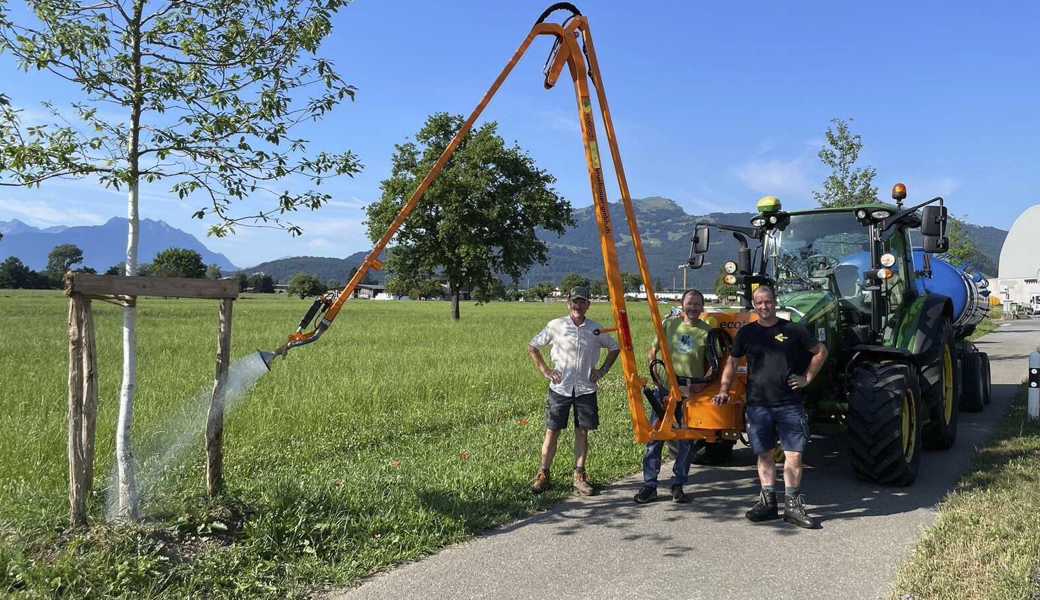 Verein hat mit Landschaftsgestaltern 25 Bäume am Südring gepflanzt