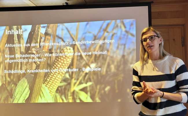 Neue Schädlinge tauchen auf: Landwirte werden vor Saisonstart sensibilisiert