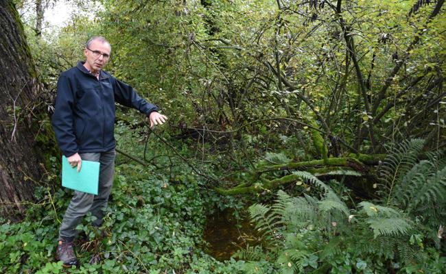 Biotope sollen nass bleiben