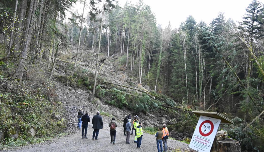 Der Rutsch ist um die 300 Meter lang und reicht bis 15 Meter tief. Die Bäume darauf werden die nächsten Wochen geräumt. Der Rutsch ist um die 300 Meter lang und reicht bis 15 Meter tief. Die Bäume darauf werden die nächsten Wochen geräumt.