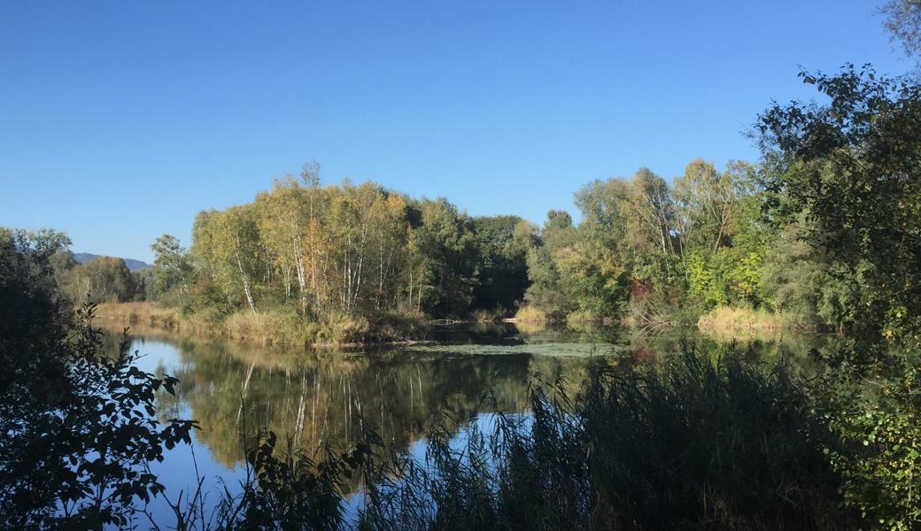 Maria Ehrler knipste die spiegelglatte Wasseroberfläche am Alten Rhein in Diepoldsau.